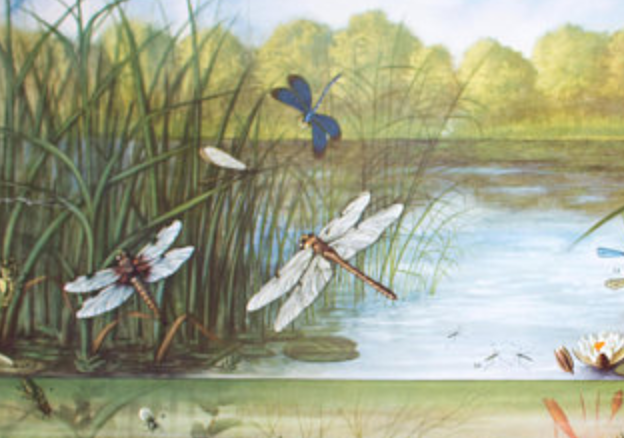 Poster "Dragonfly" published by Offsetdruckerei Friecke & Co 1951