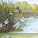 Poster "Dragonfly" published by Offsetdruckerei Friecke & Co 1951