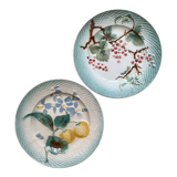 2 antique dessert plates in fruit slip Saint Amand and Hamage