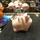 Pig fruit pick