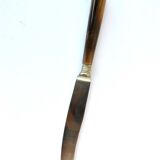 Set of 10 old knives in horn and steel 1920 dessert fruit