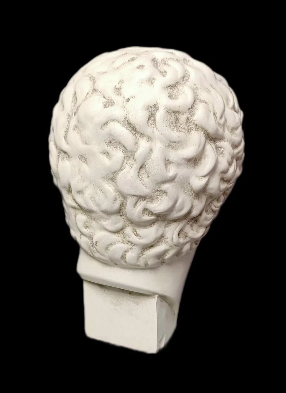 Antinous plaster head, British Museum