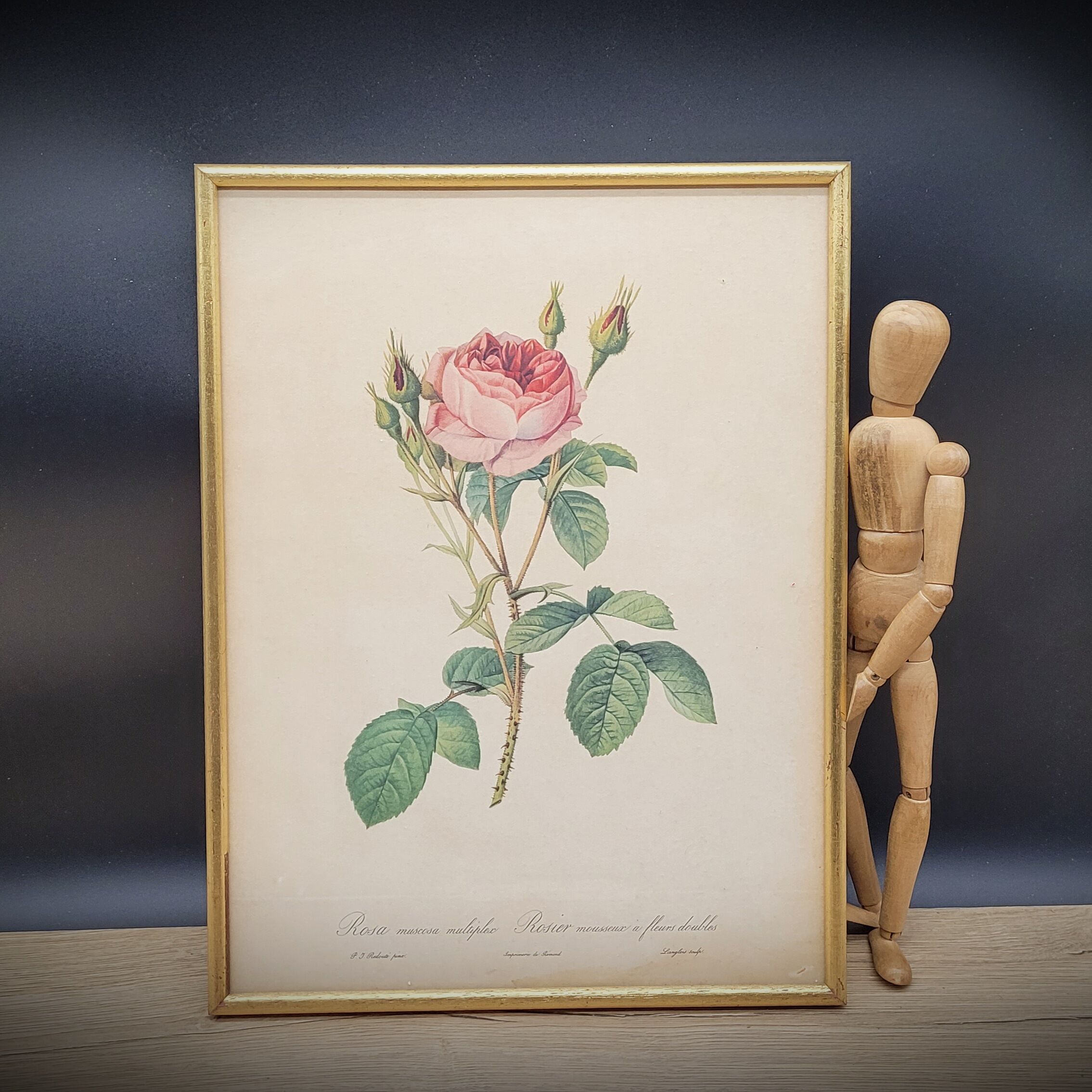 Litho frame sparkling rose with double flowers
