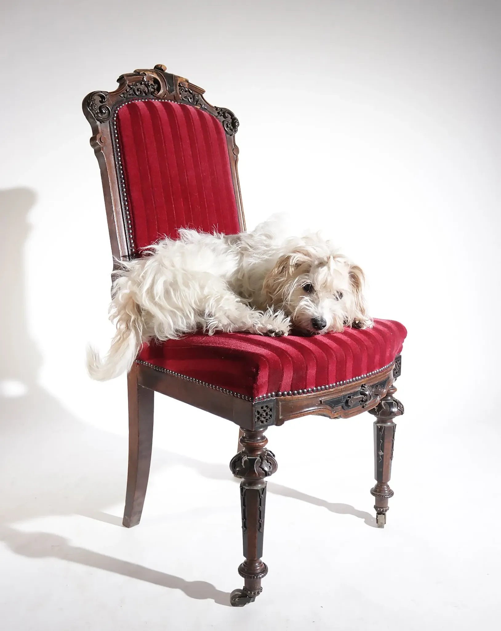 Nineteenth-century French carved chair with red velvet