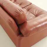 Coronado two-seater sofa by Tobia Scarpa in cognac leather, 1969