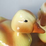 Duo terrine Poussin Caugant