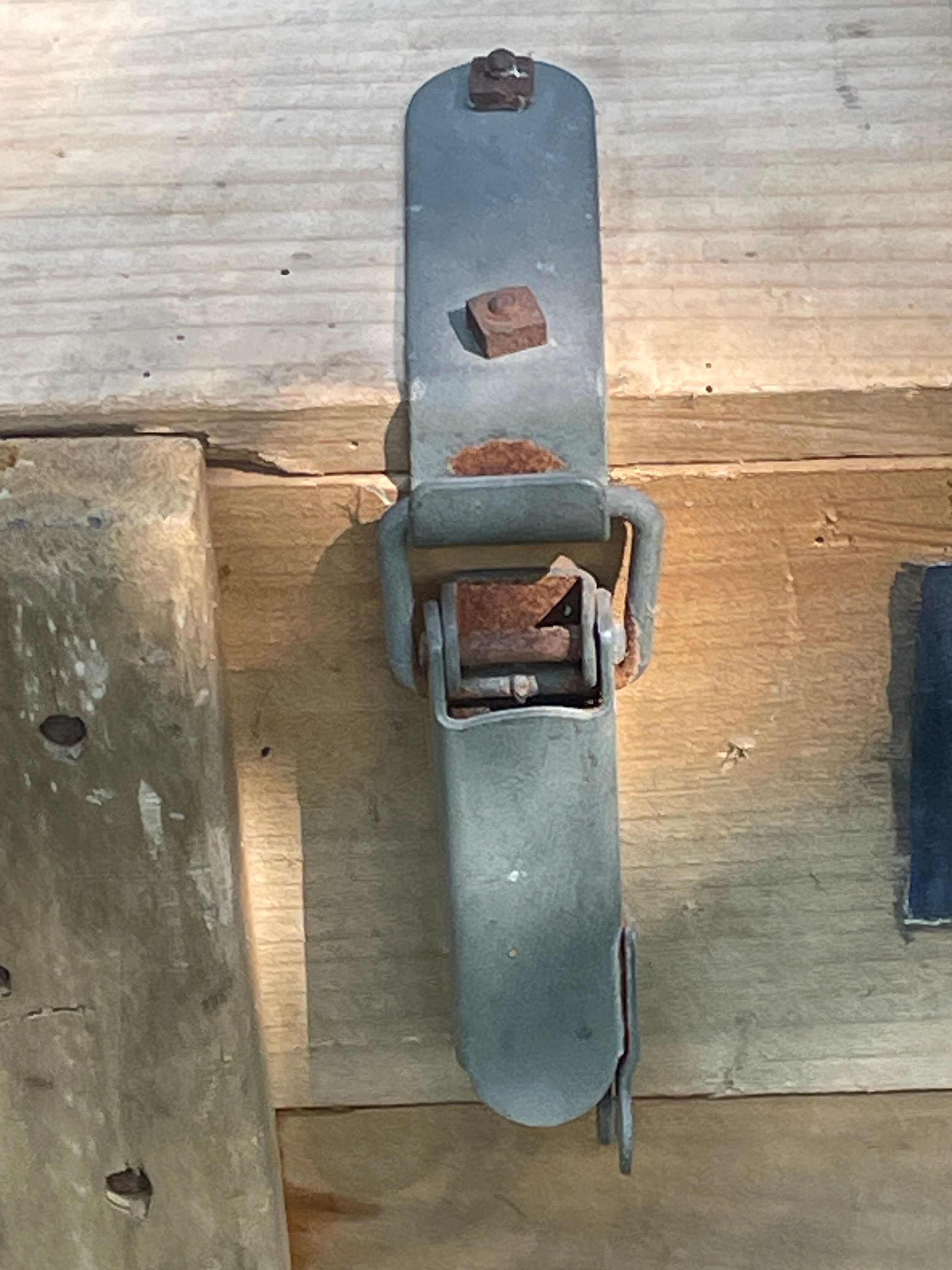 Trunk, natural wood box, very healthy