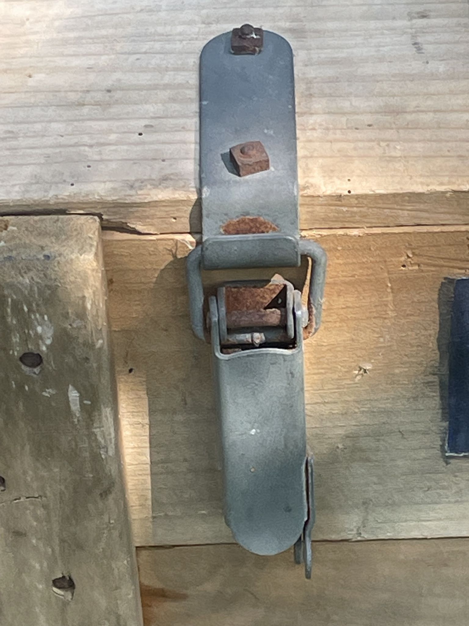 Trunk, natural wood box, very healthy