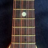old mandolin MARKNEUKIRCHEN SERANO 1950/60s