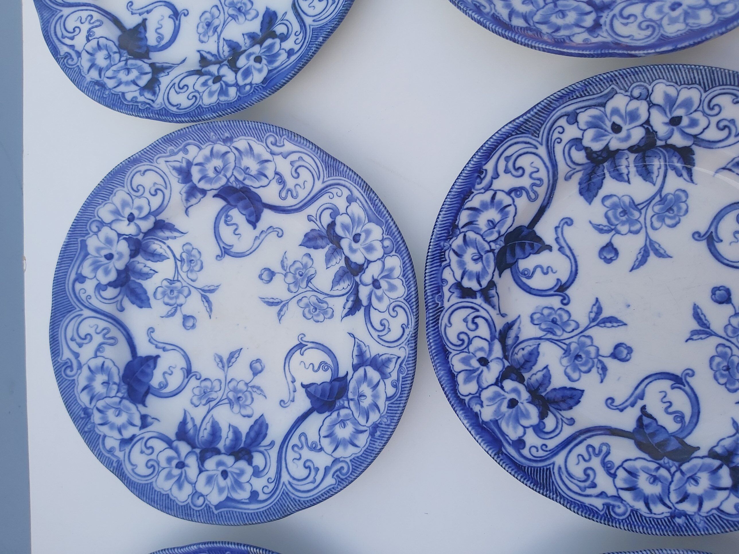 6 flat plates Creil and Montereau Flora