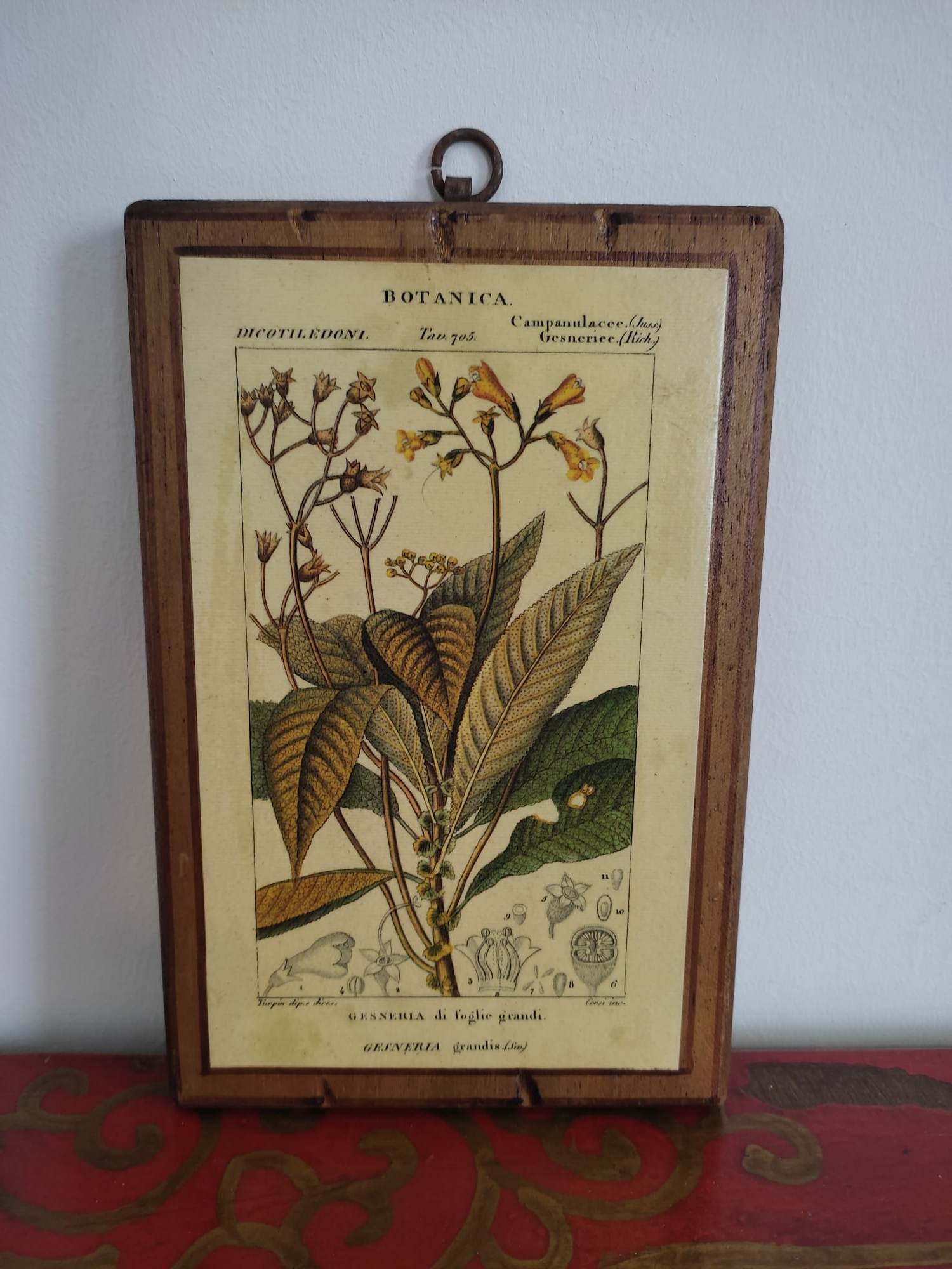 Set of 4 botanical boards with wooden frames