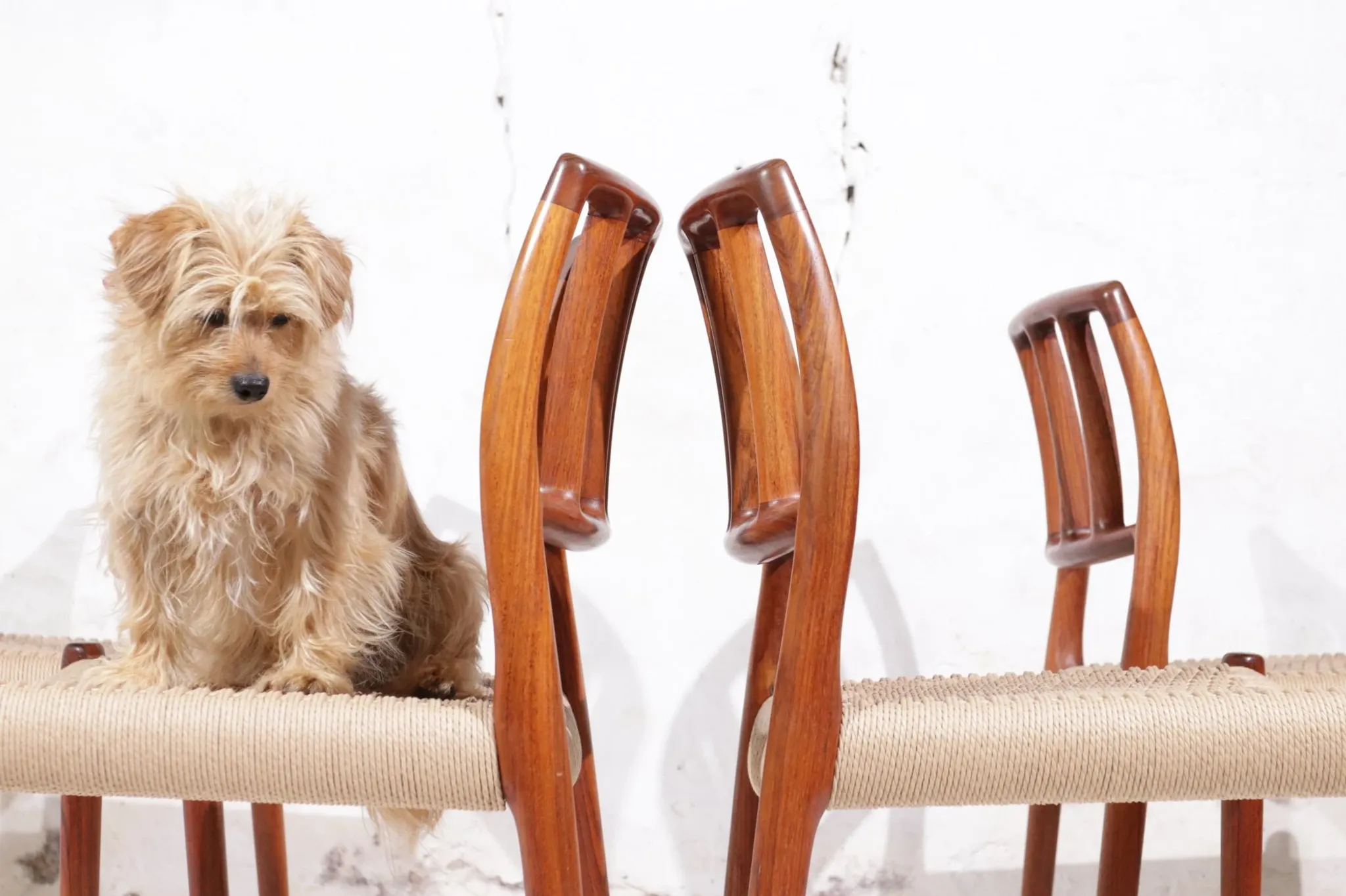 Set of 4 Niels Moller Model 83 rosewood dining chairs, Denmark, 1975