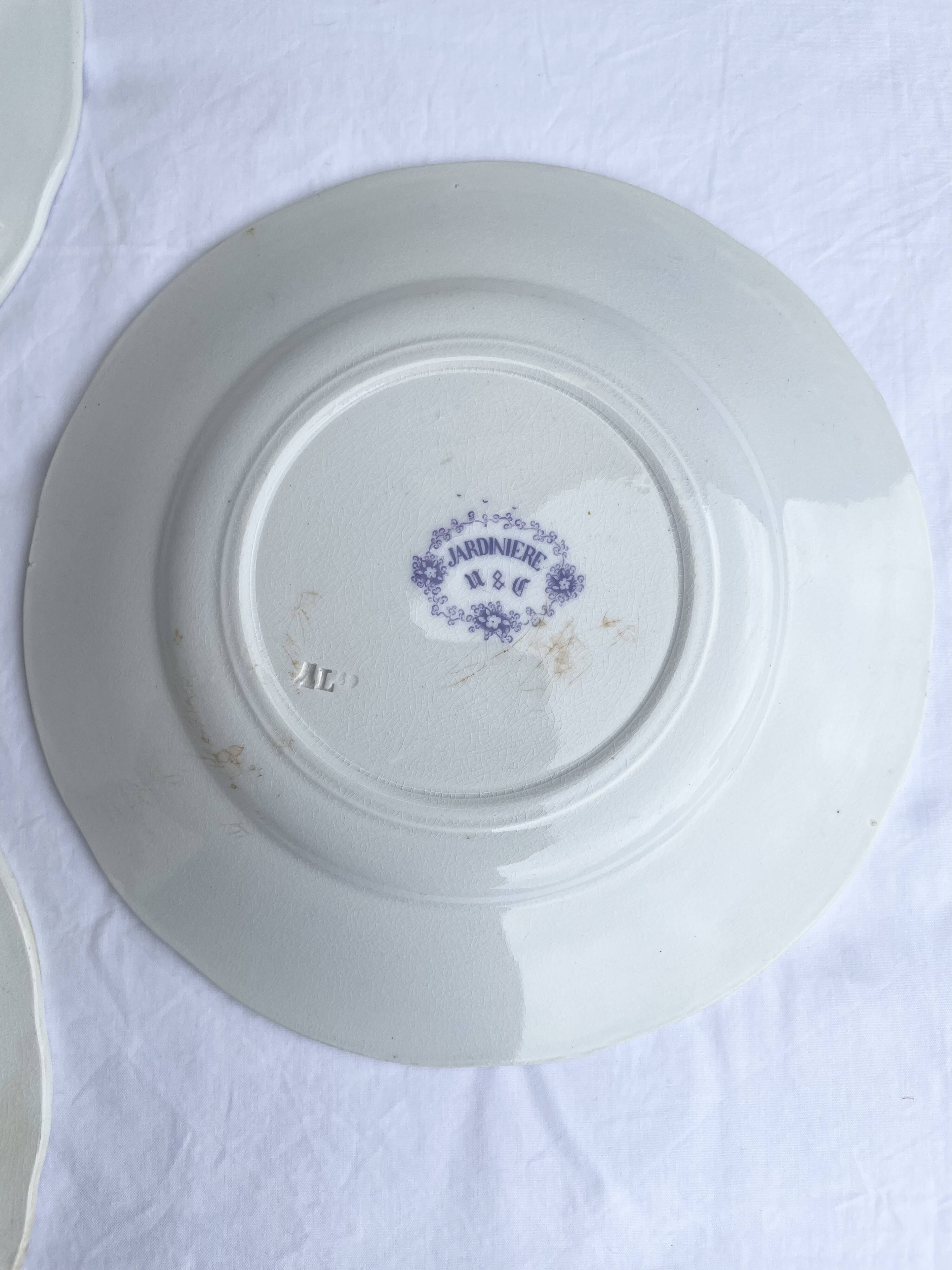 Dessert plates Sarreguemines model Jardinière 19th century
