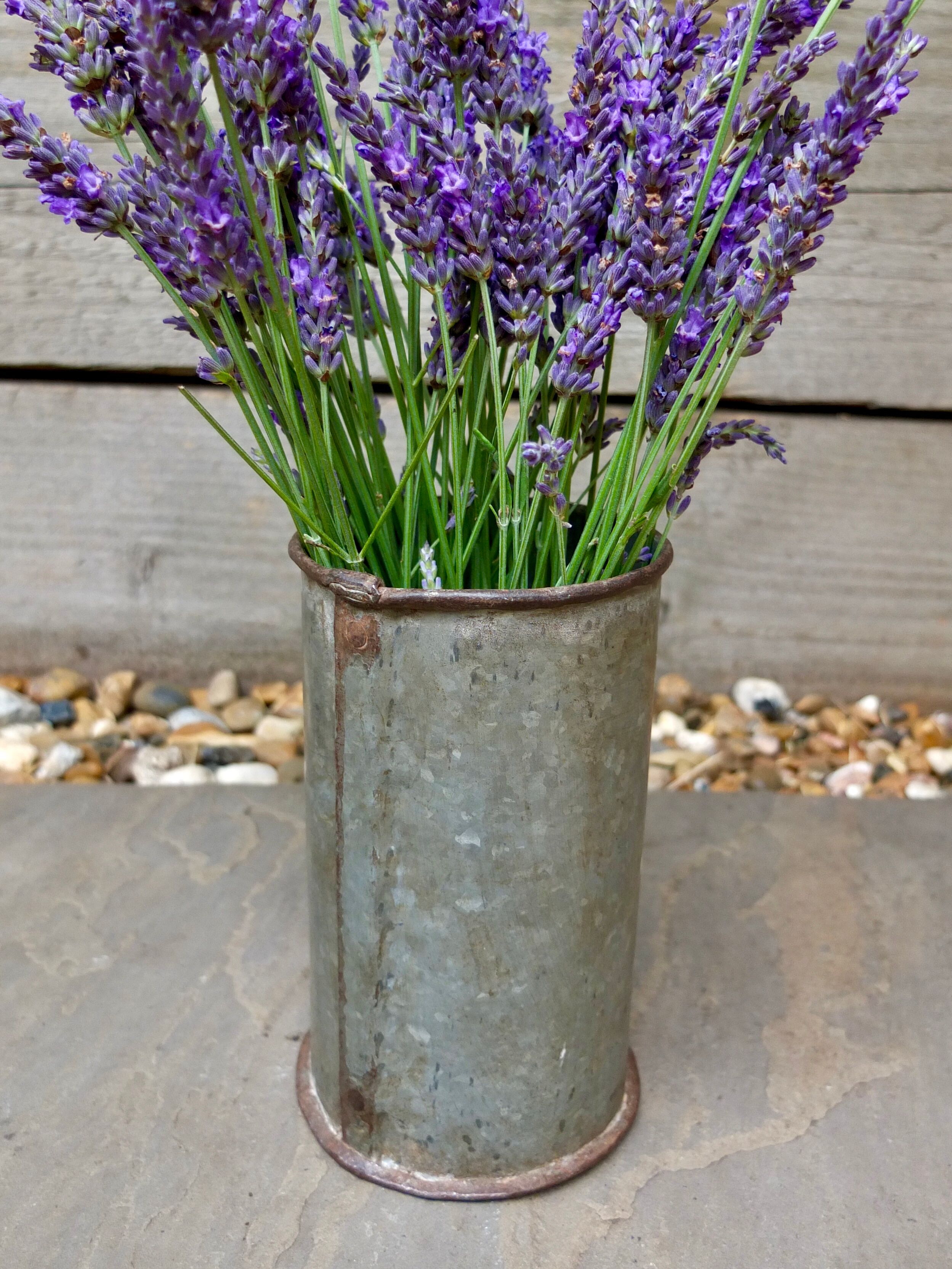 Vintage Galvanised Zinc Flower Pot / Grain Measure