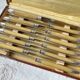 12 couteaux vintage bakélite Inox Pradel