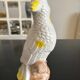 Vintage ceramic parrot