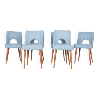 Chaises en coquillage polonaises de l'usine de meubles de Bydgoszcz, années 1960, lot de 6