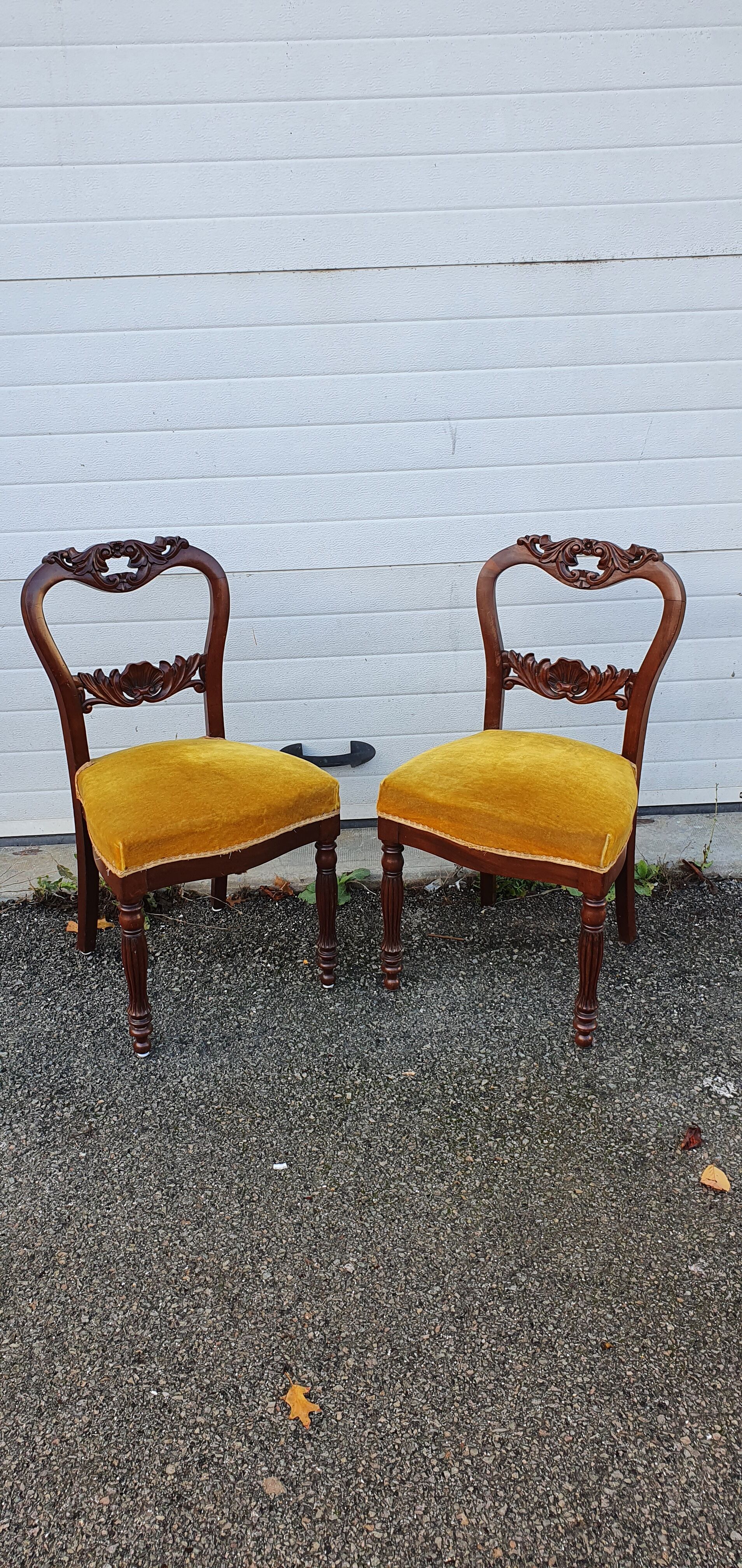 Chaises acajou et velours début XXéme