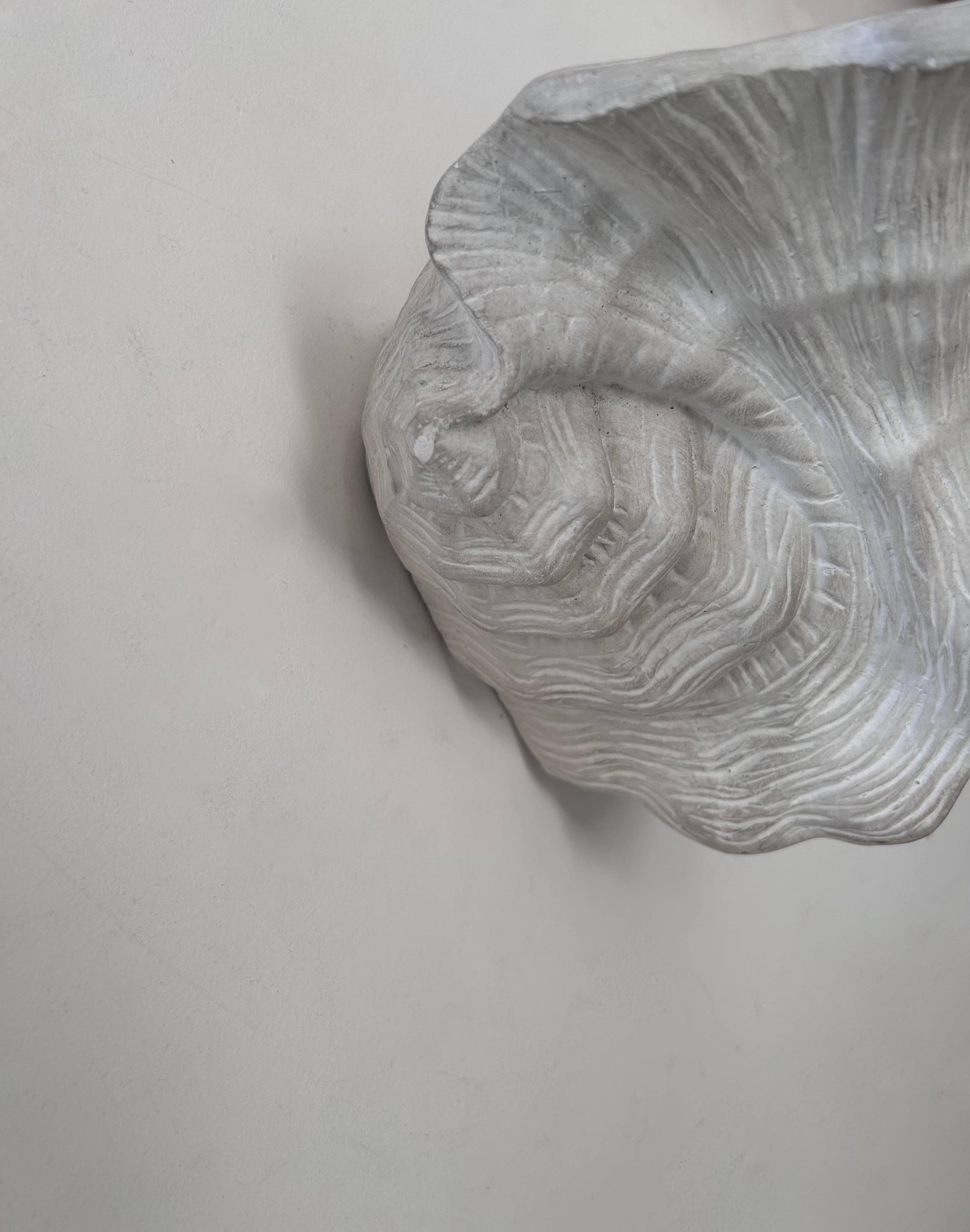 Pair of vintage shell wall lights, matte white plaster, France 1940