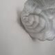 Pair of vintage shell wall lights, matte white plaster, France 1940