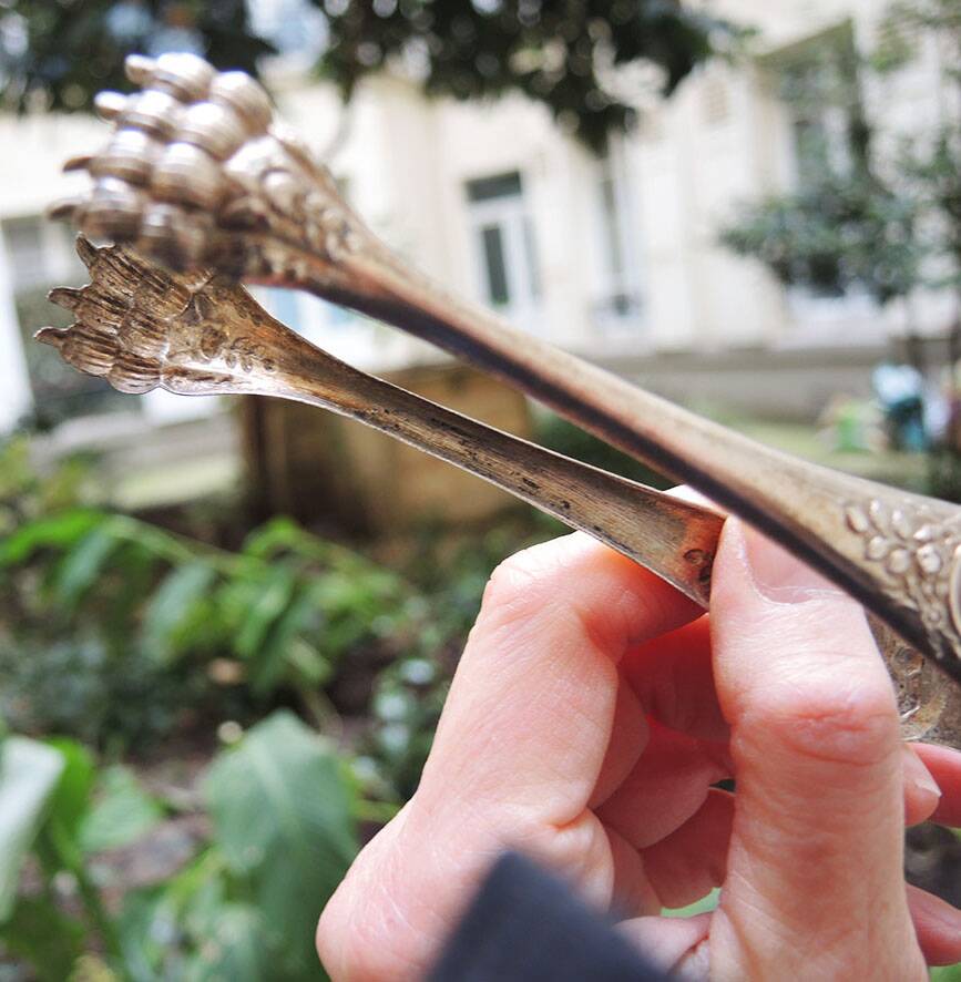 Antique metal sugar tongs in the shape of a lion's paw.