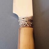 12 horn handle knives