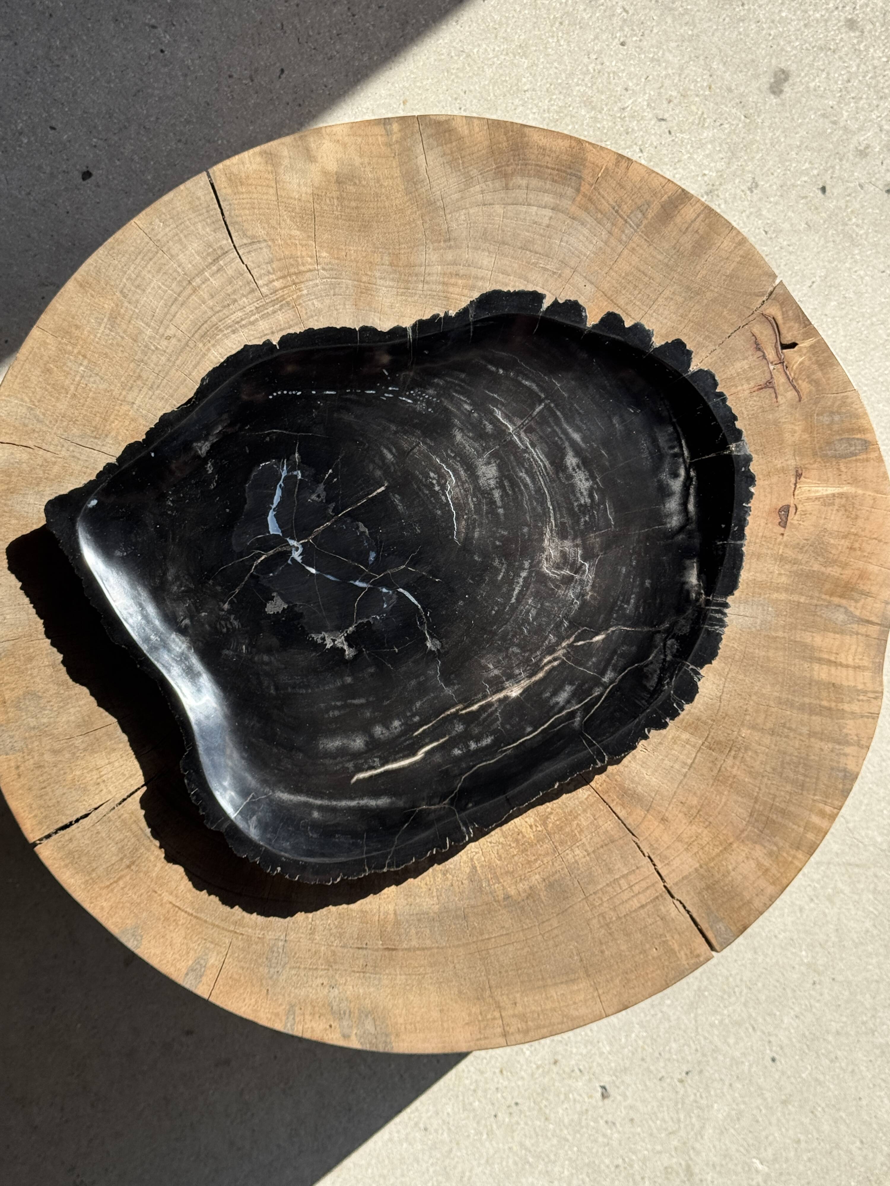 Very large black petrified wood tray or bowl D35