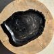 Very large black petrified wood tray or bowl D35