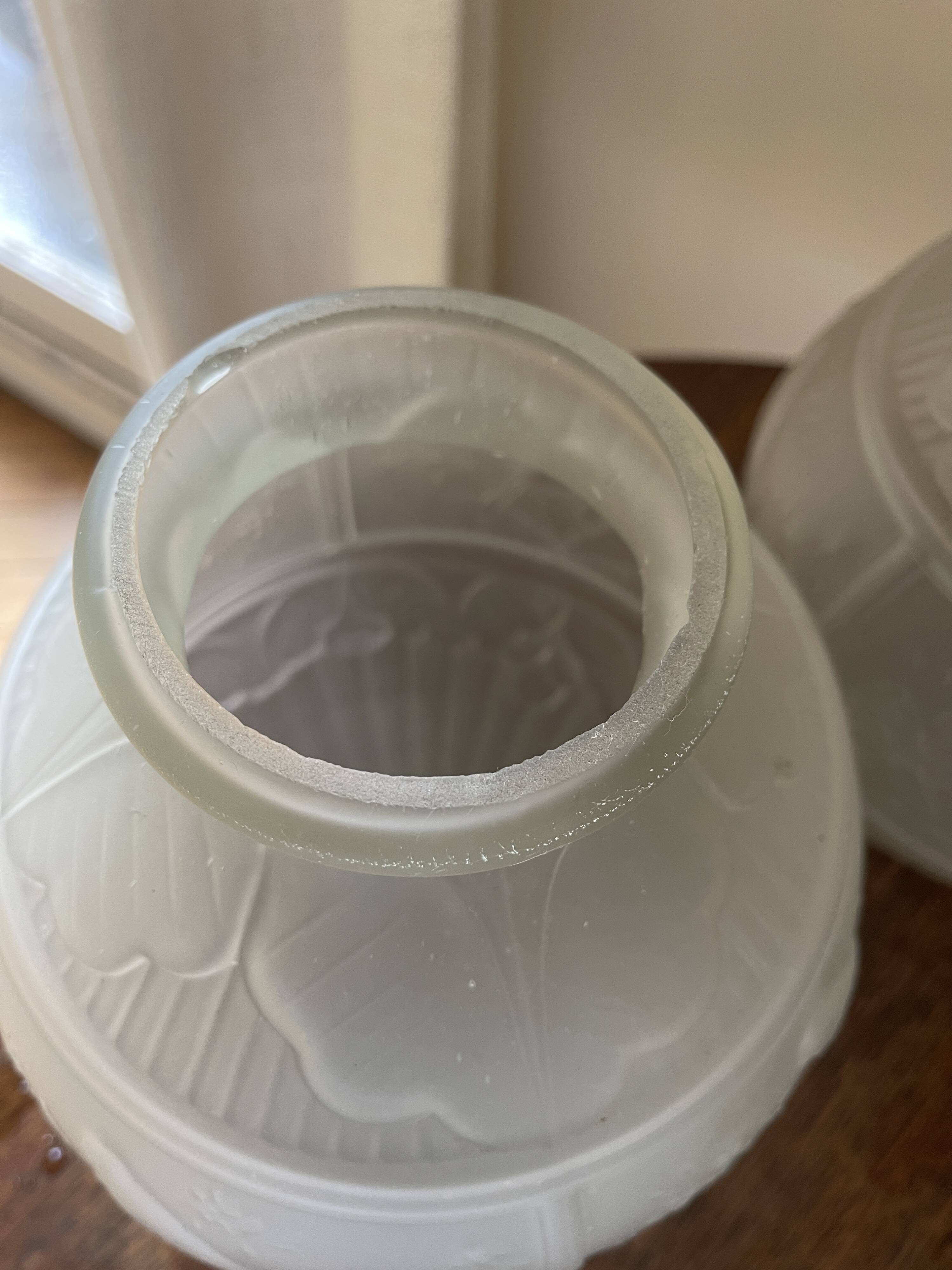 2 semi-opaque glass vases with relief bird designs.