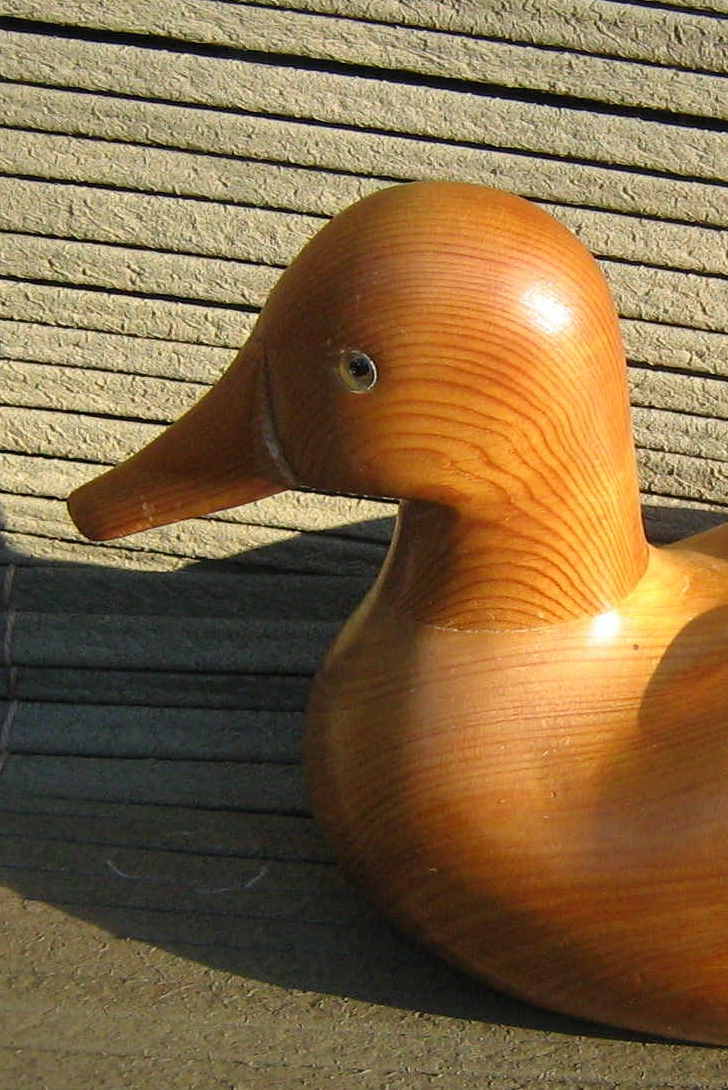Duck deco wood