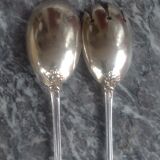 Silver metal salad cutlery