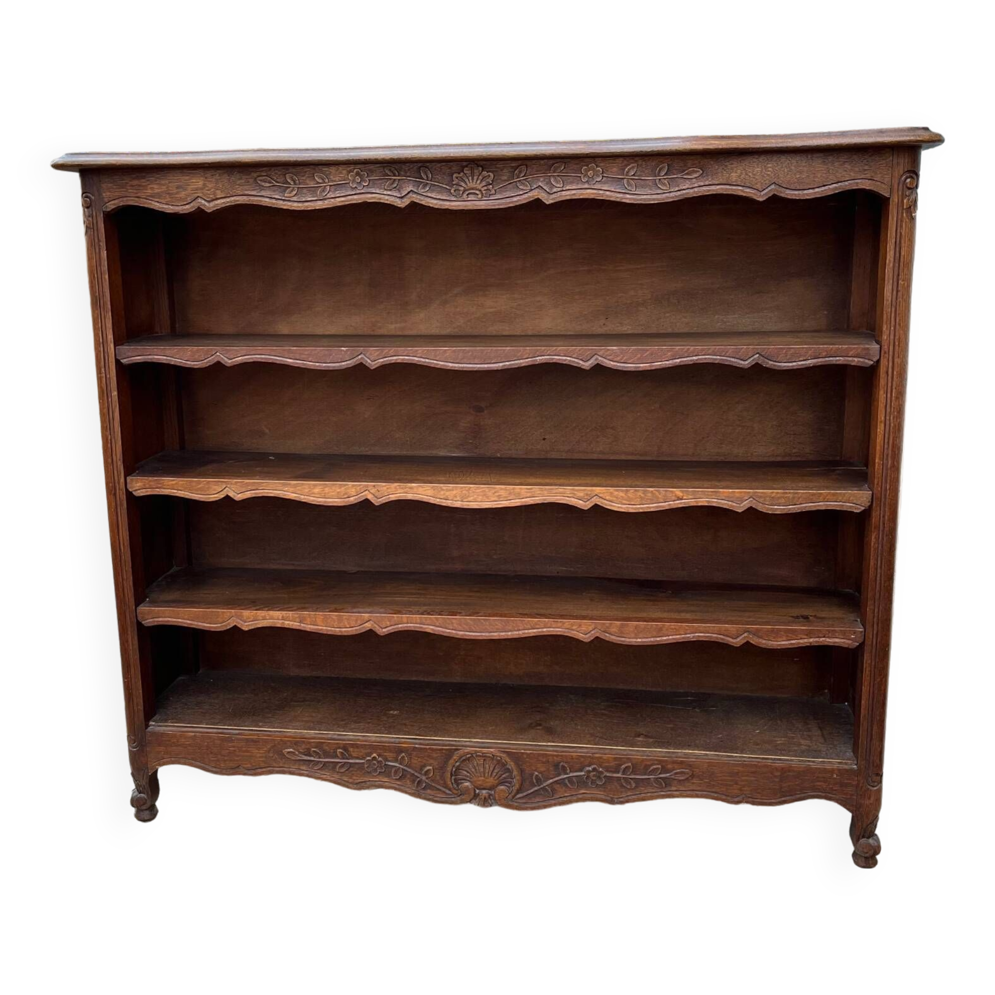 Bibus bookcase in carved wood