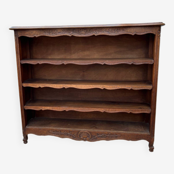 Bibus bookcase in carved wood