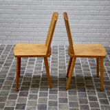 Beech chairs