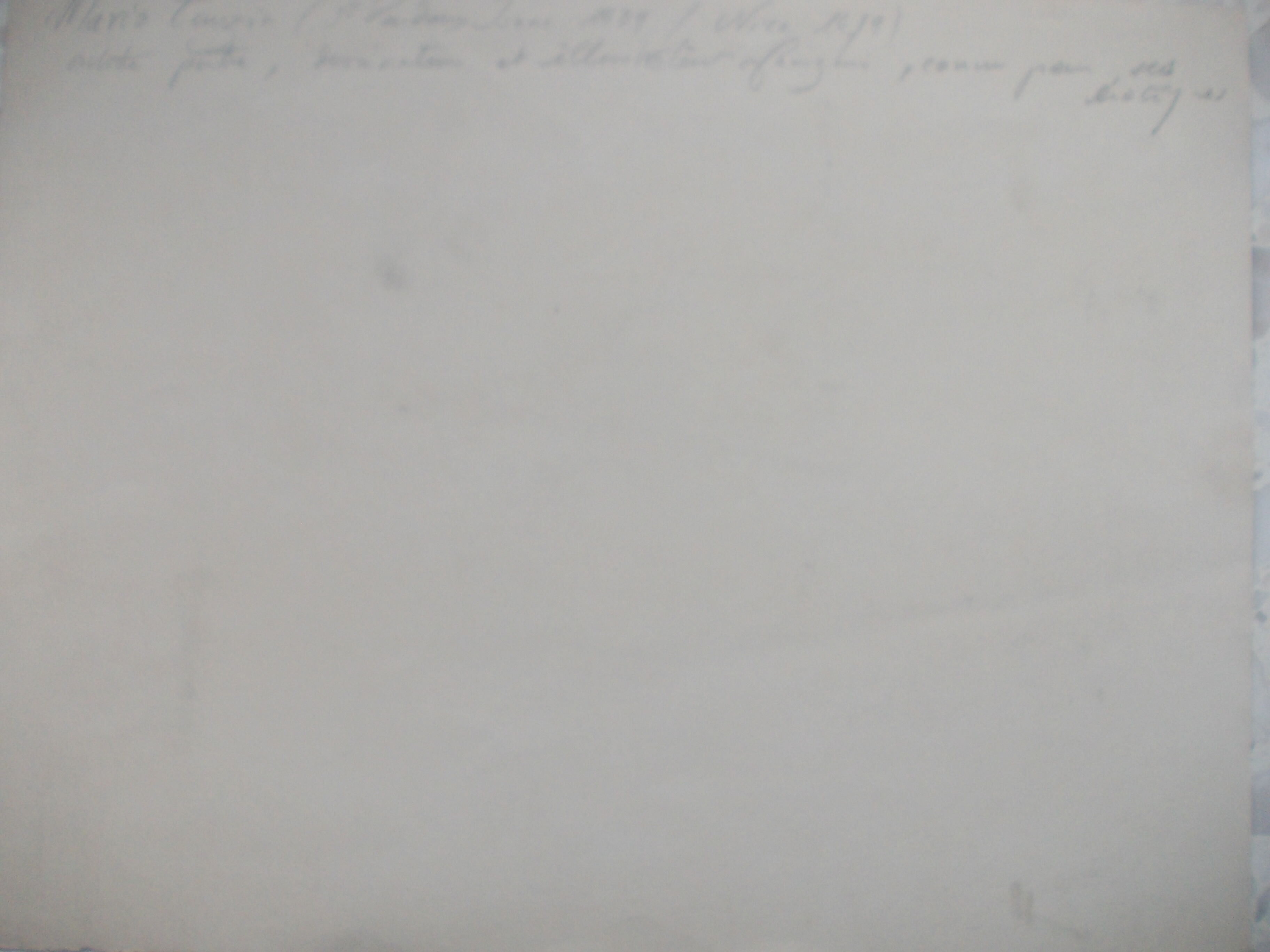 Drawing signed tauzin mario: regard chien au repos, black pencil original 1970s, charcoal