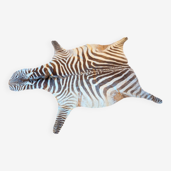 Real zebra skin rug