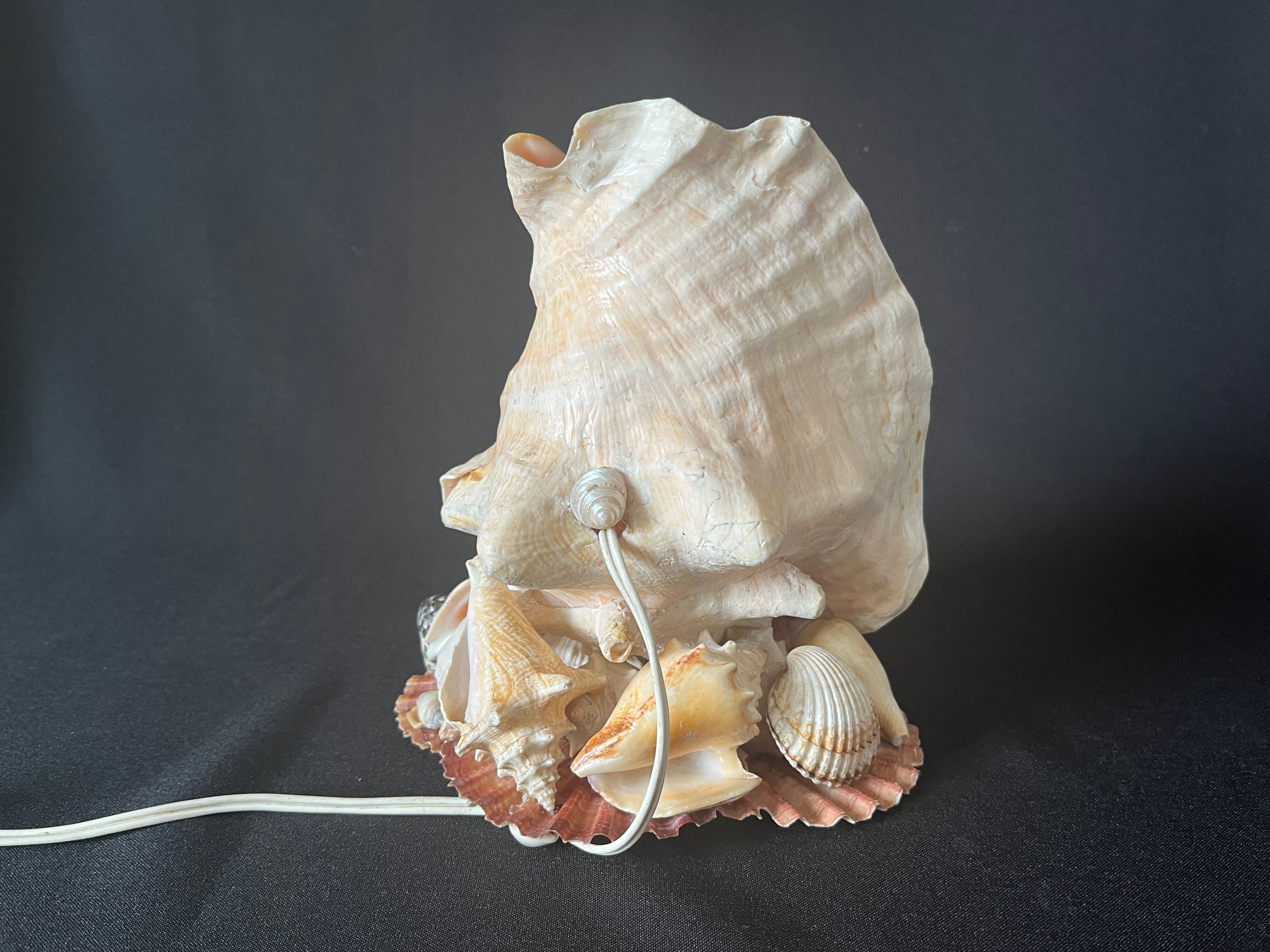Lamp night light shell conch 1950 cabinet of curiosities seaside