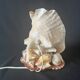 Lamp night light shell conch 1950 cabinet of curiosities seaside