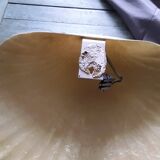 1950s shell wall light