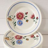 Lot 6 plate das old Lunéville Art Nouveau