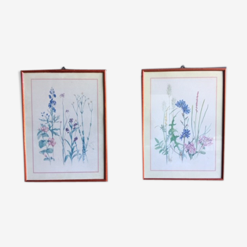 Duo  cadres  illustration fleurs botanique