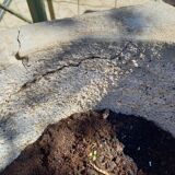 Paire de pots de jardin