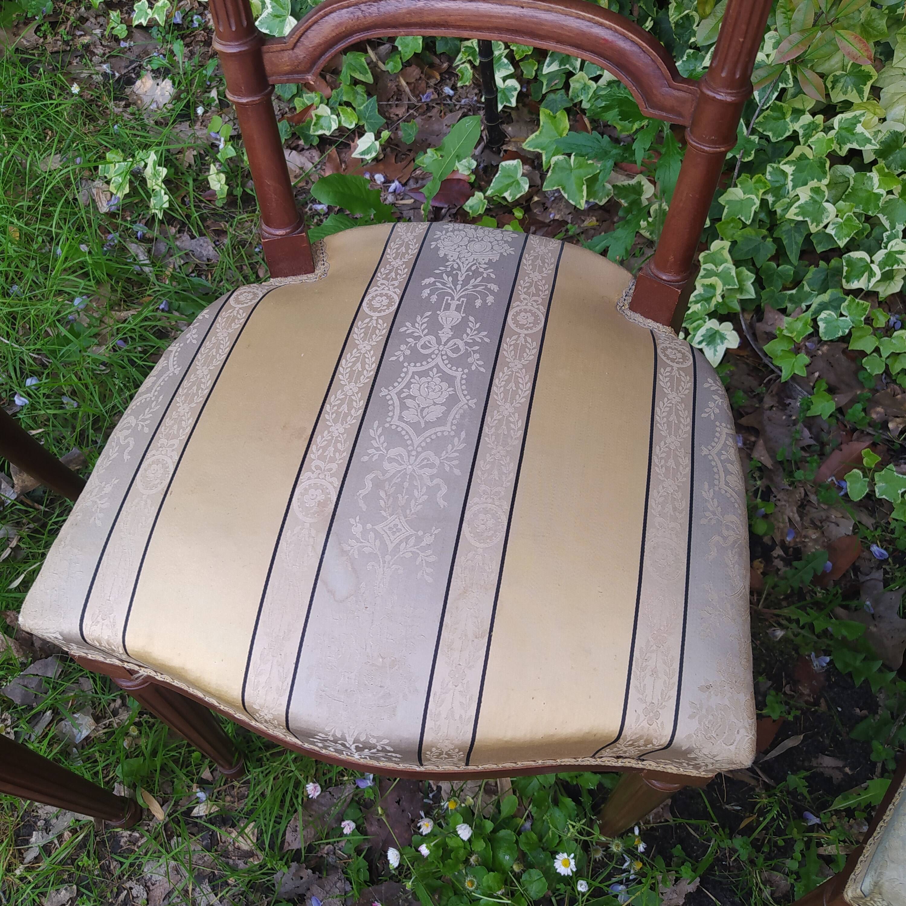 4 old chairs from the early 20th century in mahogany