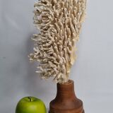Antique natural coral on turned wooden base, 38 cm