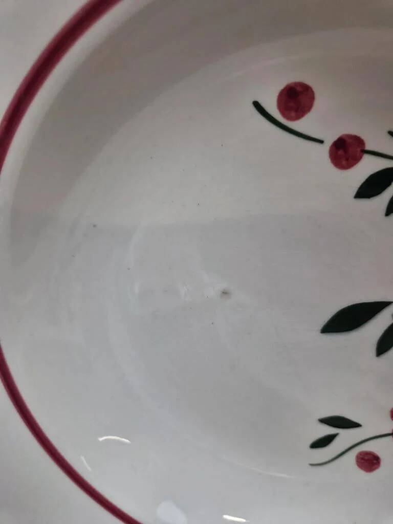 Lot de 4 assiettes creuses vintage Sarreguemines modèle Champfleury