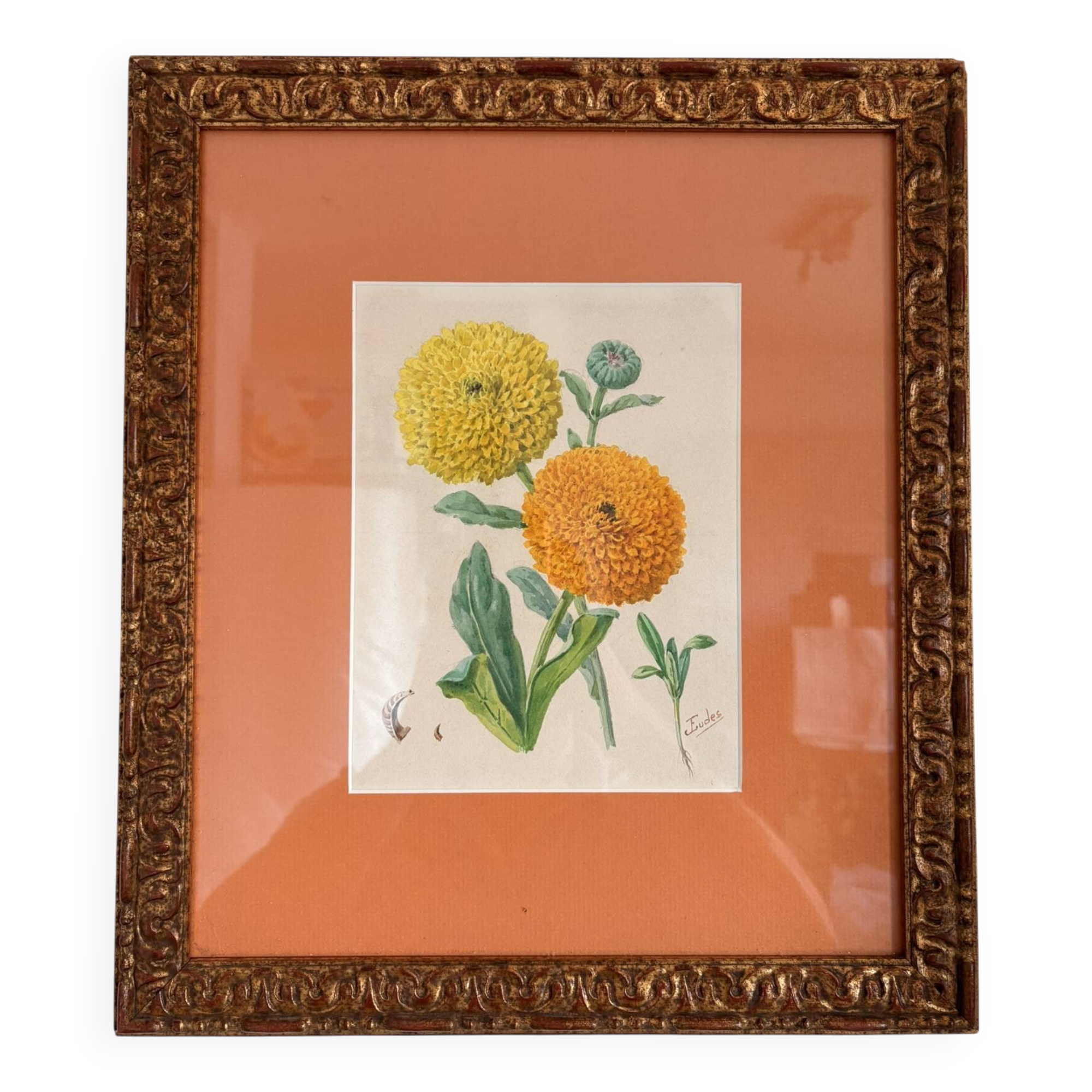 Watercolour Tableau Iconography Flowers Naturalism Rose Tagetes erecta nature