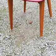 Set of 4 vintage chairs from the 50s in blond beech and red leatherette