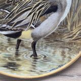 Decorative plate Limoges Water Birds
