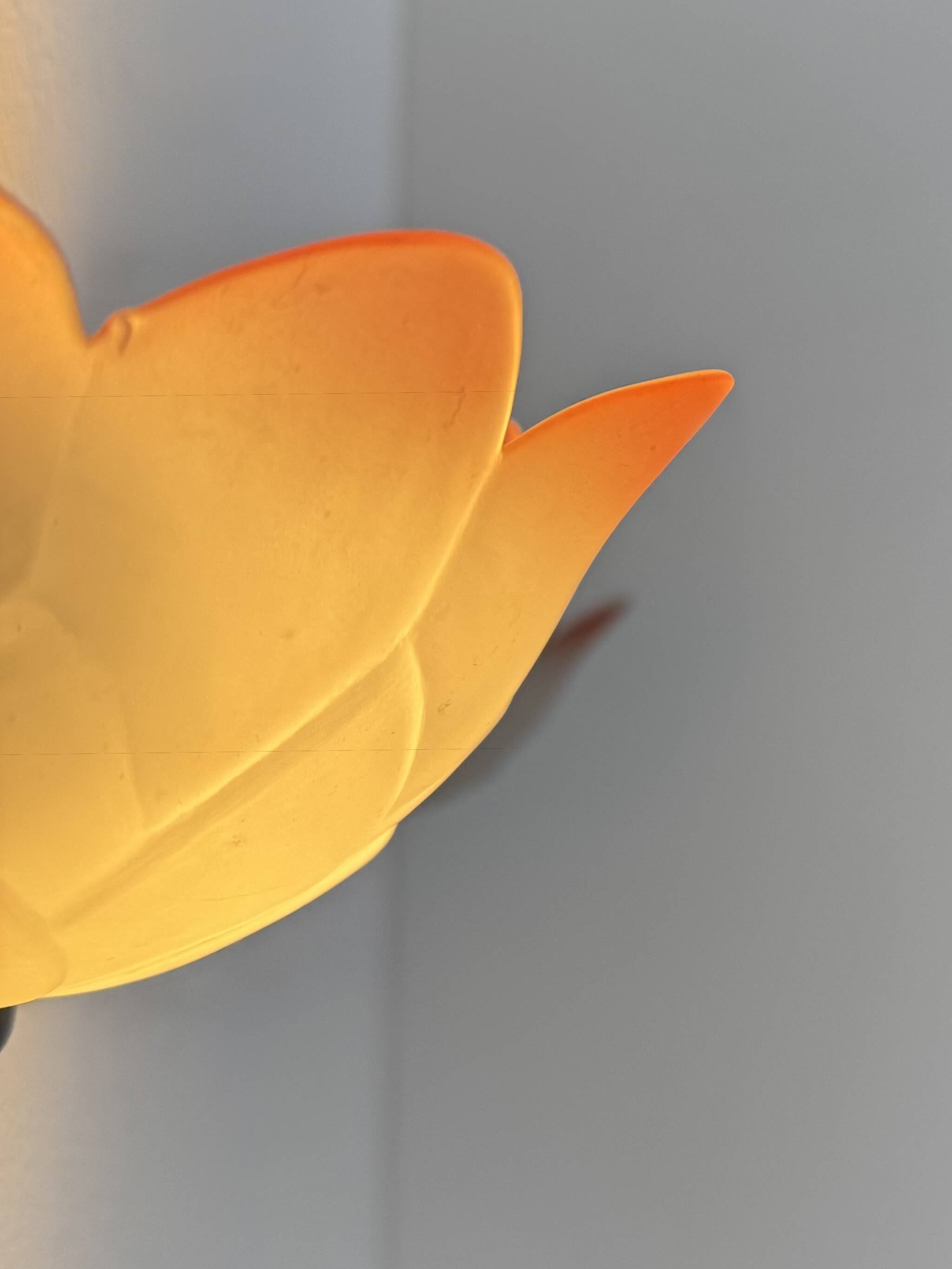 Vintage "flower" wall sconces, glass, France, 1970.