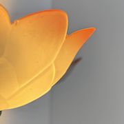 Vintage "flower" wall sconces, glass, France, 1970.